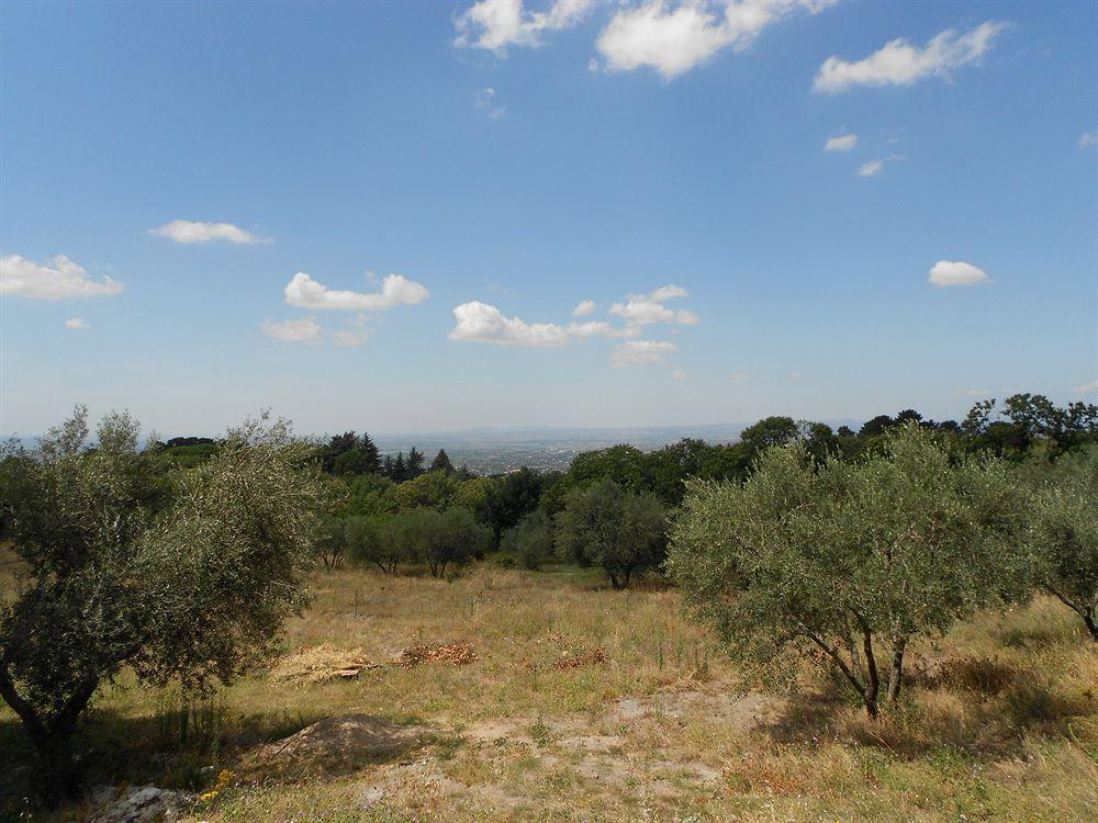 La Meridiana Strana Bed & Breakfast Viterbo Exterior photo