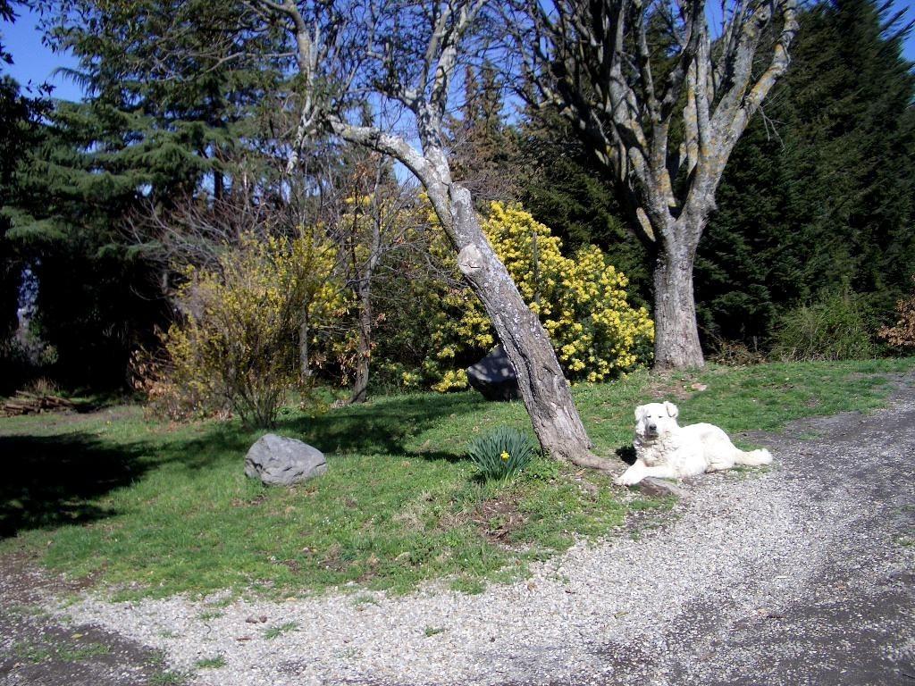 La Meridiana Strana Bed & Breakfast Viterbo Exterior photo